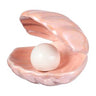 Shell dream night light